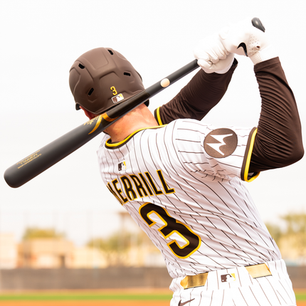 Baseball player in uniform with bat on a blurred field background